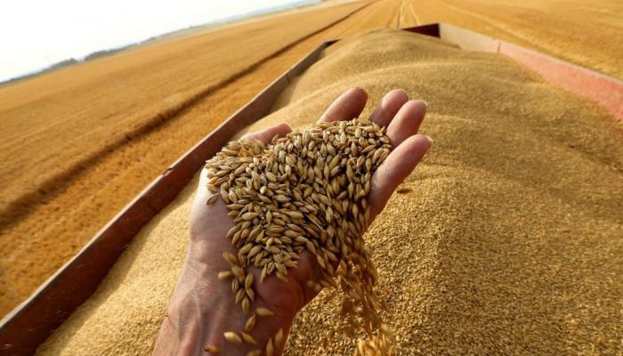 102 124536 indian decision global wheat shortage
