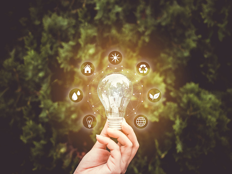istockphoto 1151503345 170667a