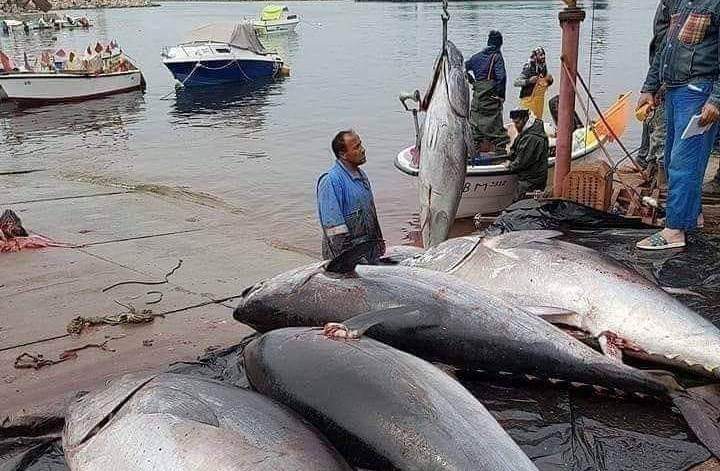 received 700193381793301
