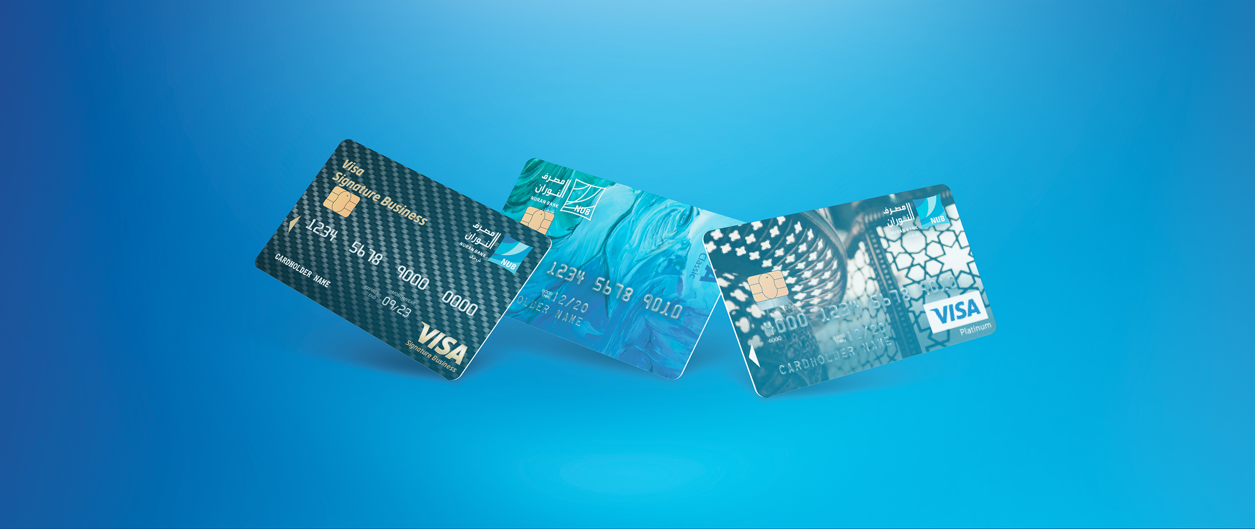 VISA Card 2024 1
