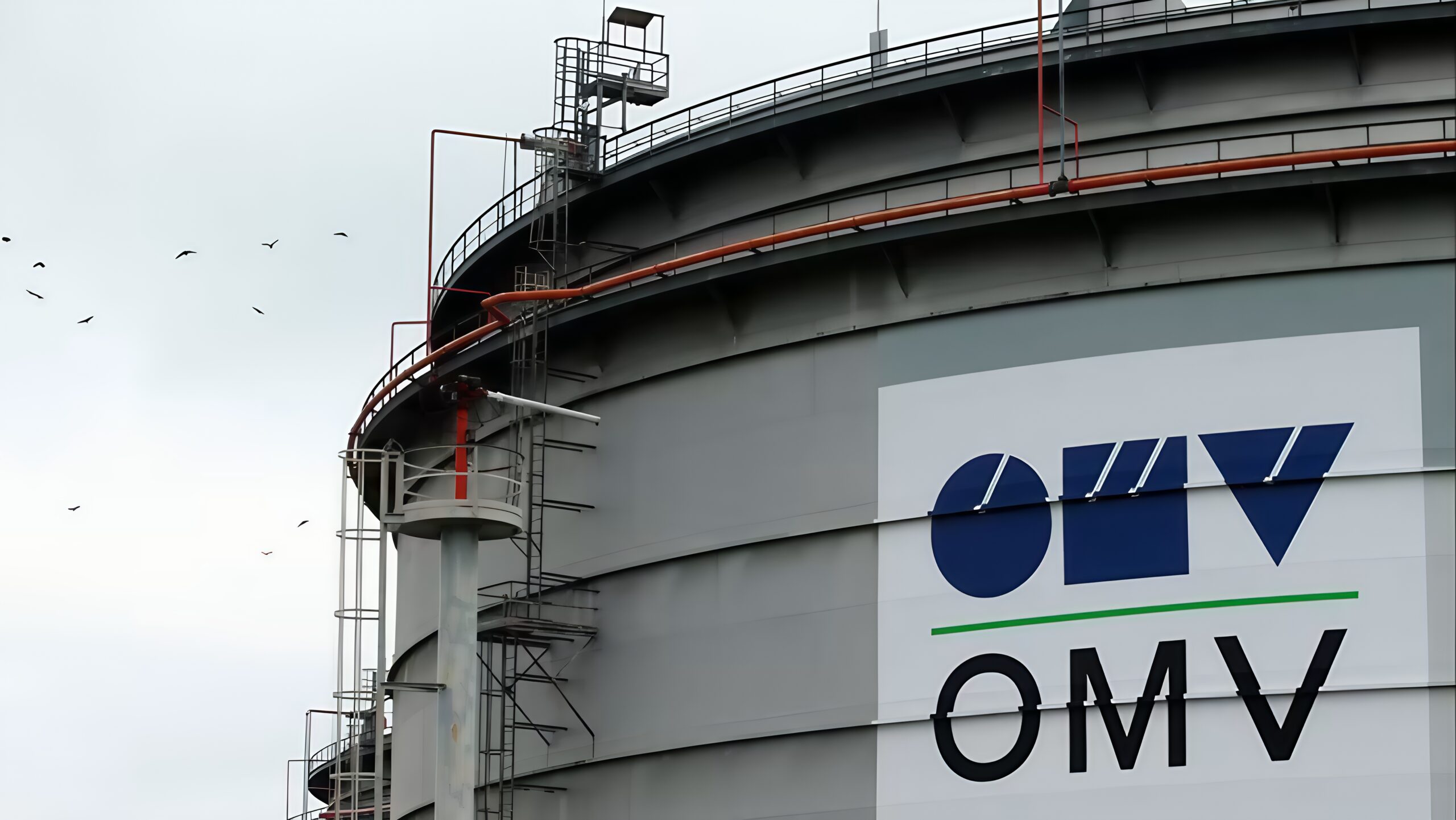 omv transformed scaled