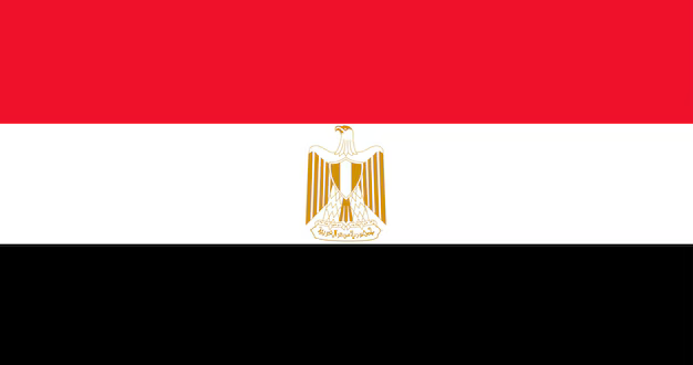 illustration egypt flag 53876 27140 8dff1ab9